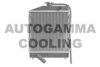 CHATENET 0123007 Radiator, engine cooling